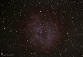 18-02-2012 Rosette Nebula