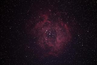 Rosette Nebula