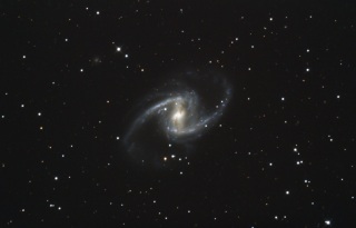 NGC1365